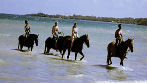 Horse Back Riding in Jamaica's Caribbean Sea